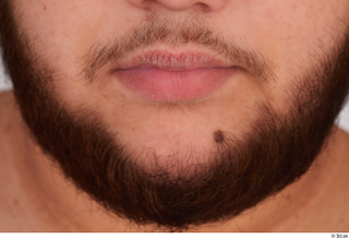 Ronaldo Biggato bearded chin 0001.jpg